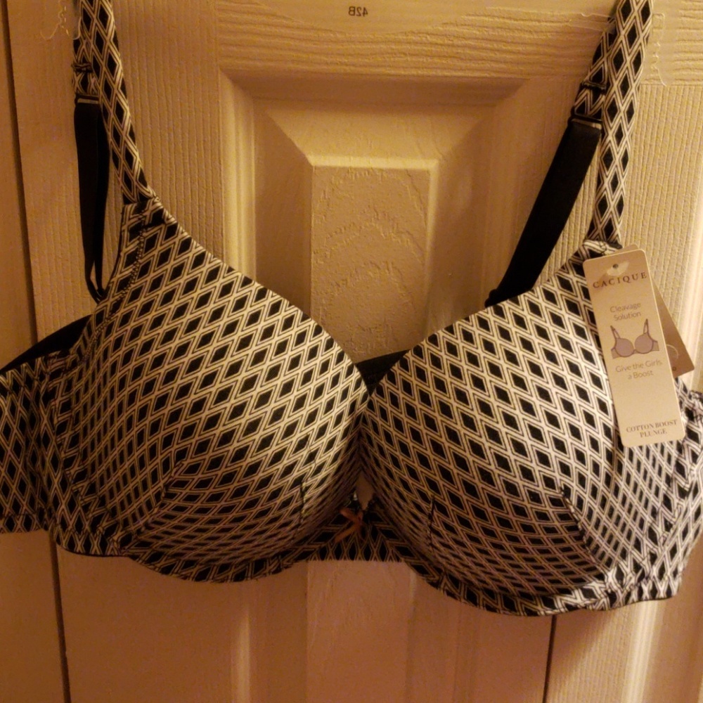 NWT Cacique Bra
